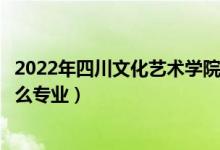 2022年四川文化藝術學院招生計劃及招生人數(shù)（各省都招什么專業(yè)）