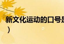 新文化運(yùn)動(dòng)的口號(hào)是什么（新文化運(yùn)動(dòng)的口號(hào)）