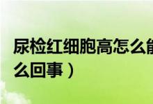 尿檢紅細(xì)胞高怎么能降下來（尿檢紅細(xì)胞高怎么回事）