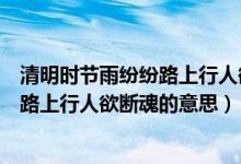 清明時節(jié)雨紛紛路上行人欲斷魂的意思是（清明時節(jié)雨紛紛路上行人欲斷魂的意思）