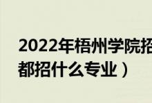 2022年梧州學(xué)院招生計(jì)劃及招生人數(shù)（各省都招什么專業(yè)）
