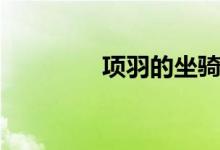 項(xiàng)羽的坐騎（項(xiàng)羽的坐騎）
