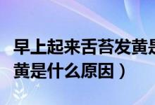 早上起來舌苔發(fā)黃是什么?。ㄔ缟掀饋砩嗵Πl(fā)黃是什么原因）