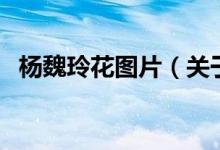 楊魏玲花圖片（關(guān)于楊魏玲花圖片的介紹）