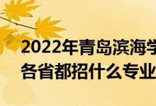 2022年青島濱海學院招生計劃及招生人數(shù)（各省都招什么專業(yè)）