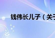 錢偉長兒子（關于錢偉長兒子的介紹）