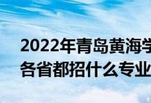 2022年青島黃海學院招生計劃及招生人數(shù)（各省都招什么專業(yè)）