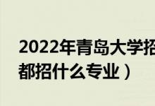 2022年青島大學招生計劃及招生人數(shù)（各省都招什么專業(yè)）
