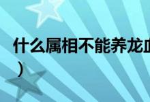 什么屬相不能養(yǎng)龍血樹(shù)（養(yǎng)龍血樹(shù)有什么講究）