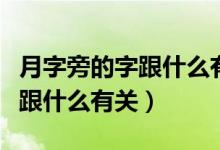月字旁的字跟什么有關(guān)系一年級（月字旁的字跟什么有關(guān)）
