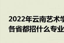 2022年云南藝術(shù)學(xué)院招生計(jì)劃及招生人數(shù)（各省都招什么專業(yè)）