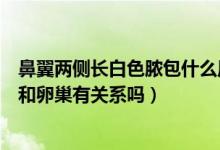 鼻翼兩側(cè)長(zhǎng)白色膿包什么原因引起（鼻翼兩側(cè)長(zhǎng)白色的膿痘和卵巢有關(guān)系嗎）
