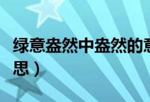綠意盎然中盎然的意思（綠意盎然中盎然啥意思）
