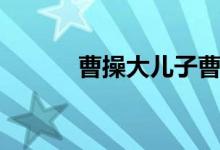 曹操大兒子曹昂（曹操大兒子）