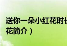 送你一朵小紅花時(shí)長(zhǎng)多少分鐘（送你一朵小紅花簡(jiǎn)介）