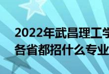 2022年武昌理工學院招生計劃及招生人數(shù)（各省都招什么專業(yè)）