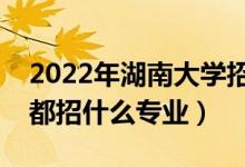 2022年湖南大學招生計劃及招生人數(shù)（各省都招什么專業(yè)）