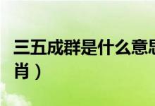 三五成群是什么意思視頻（三五成群是什么生肖）
