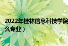 2022年桂林信息科技學(xué)院招生計(jì)劃及招生人數(shù)（各省都招什么專業(yè)）