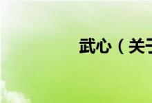 武心（關(guān)于武心的介紹）