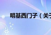 明基西門(mén)子（關(guān)于明基西門(mén)子的介紹）