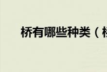 橋有哪些種類(lèi)（橋按照材質(zhì)為有幾種）