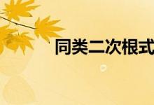 同類二次根式（同類二次根式）