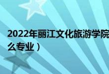2022年麗江文化旅游學(xué)院招生計(jì)劃及招生人數(shù)（各省都招什么專業(yè)）