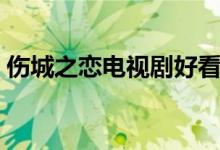 傷城之戀電視劇好看嗎（講述了什么故事呢）