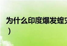 為什么印度爆發(fā)蝗災(zāi)（帶你了解未來(lái)蝗災(zāi)走向）