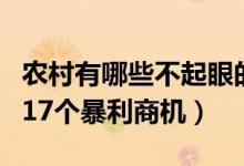 農(nóng)村有哪些不起眼的商機(jī)（藏在農(nóng)村不起眼的17個暴利商機(jī)）