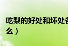 吃梨的好處和壞處各是什么(吃梨的好處是什么)