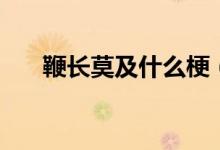 鞭長莫及什么梗（鞭長莫及什么意思）