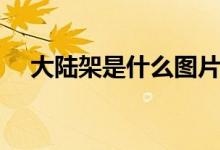 大陸架是什么圖片（大陸架是什么意思）