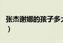張杰謝娜的孩子多大了（張杰謝娜的孩子幾歲）