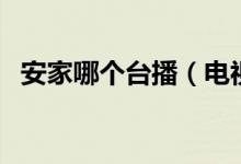 安家哪個(gè)臺(tái)播（電視劇《安家》播放信息）