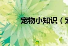 寵物小知識(shí)（寵物小知識(shí)有什么）