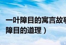 一葉障目的寓言故事告訴我們什么道理（一葉障目的道理）