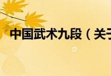 中國武術(shù)九段（關(guān)于中國武術(shù)九段的介紹）