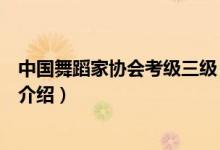 中國舞蹈家協(xié)會考級三級（關于中國舞蹈家協(xié)會考級三級的介紹）
