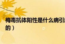 梅毒抗體陽(yáng)性是什么病引起的（梅毒抗體陽(yáng)性是什么病引起的）