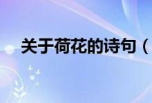 關(guān)于荷花的詩句(關(guān)于荷花的詩句推薦)