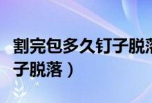 割完包多久釘子脫落過程圖片（割完包多久釘子脫落）