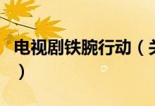 電視劇鐵腕行動（關(guān)于電視劇鐵腕行動的介紹）