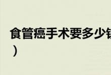食管癌手術(shù)要多少錢?。ㄊ彻馨┦中g(shù)要多少錢）