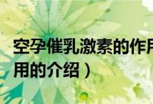空孕催乳激素的作用（關(guān)于空孕催乳激素的作用的介紹）