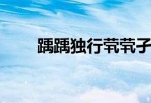 踽踽獨(dú)行煢煢孑立讀音（踽踽躑躅）