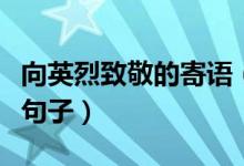 向英烈致敬的寄語（這些都是致敬英雄的經(jīng)典句子）