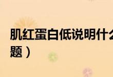 肌紅蛋白低說明什么（肌紅蛋白低說明什么問題）