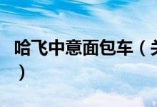 哈飛中意面包車（關(guān)于哈飛中意面包車的介紹）